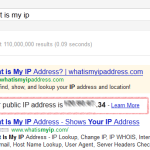 Check IP address in Google search result