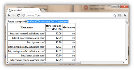 Chrome://dns